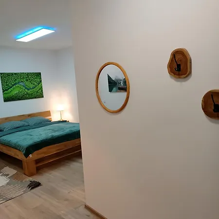 - Zemlinski Payerbach