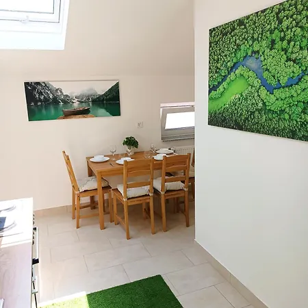 - Zemlinski Payerbach