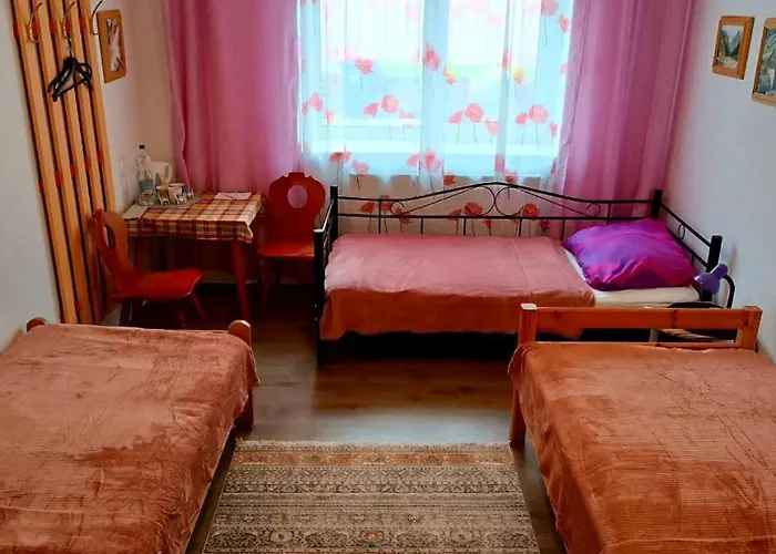 Apart Otel - Zemlinski 3*